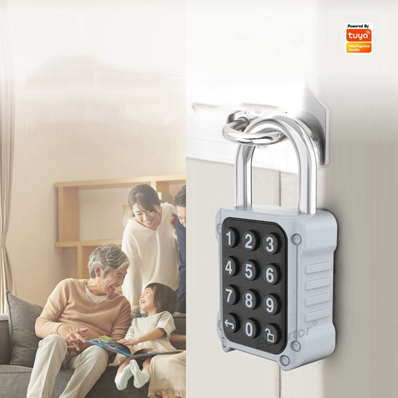 Lockbox Key Secure - EGFirtor Tuya APP Serrure de porte