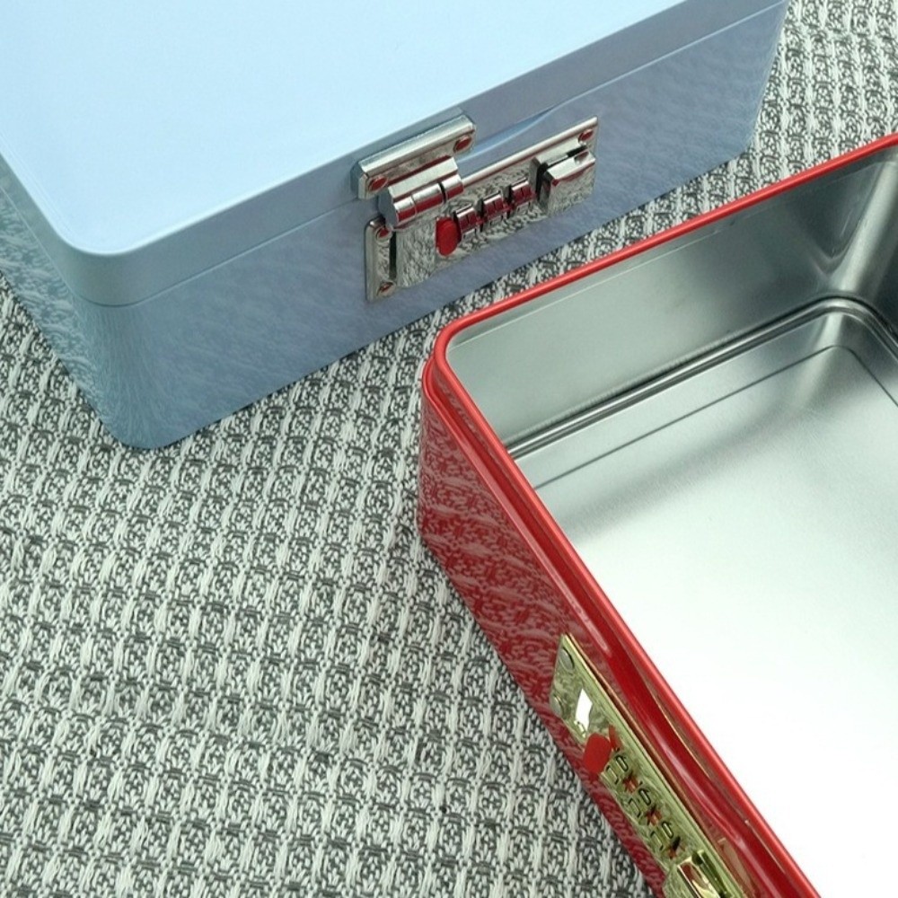 Boîte de rangement à serrure à - Medicine Cabinet Lock avis et prix