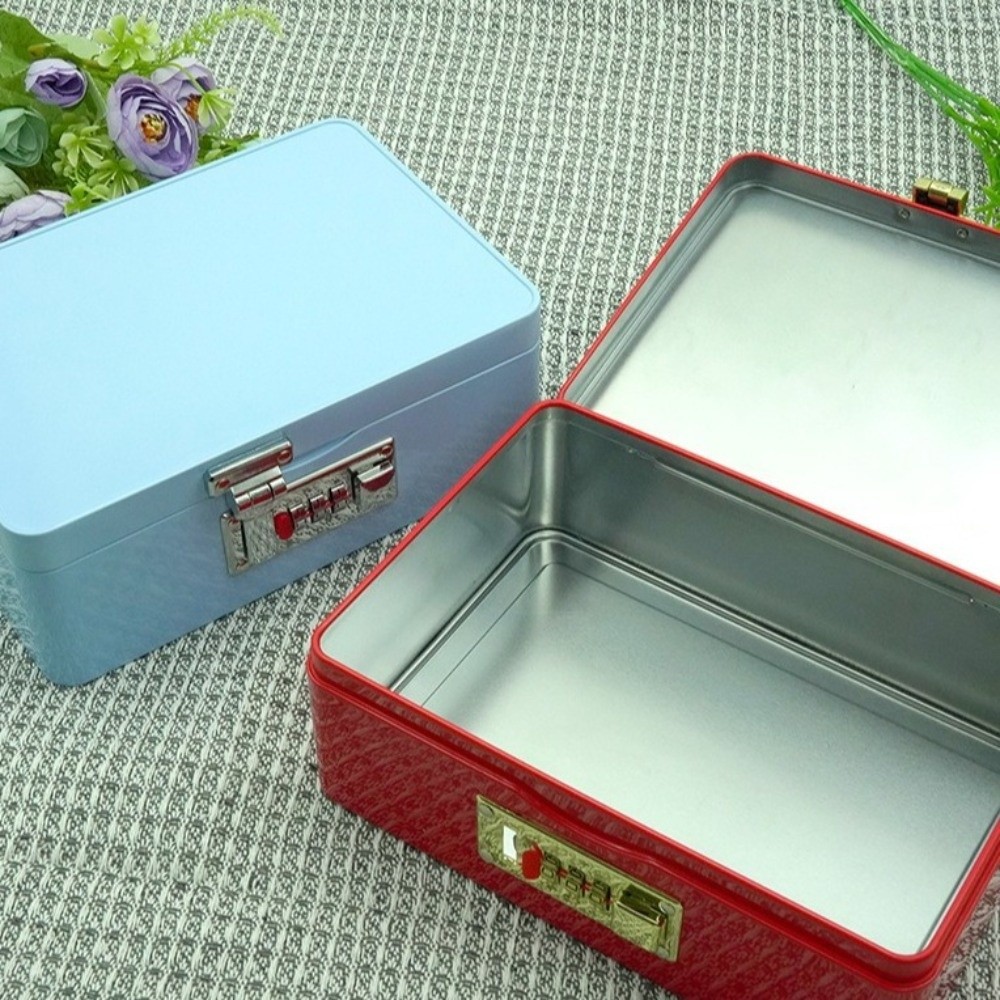 Boîte de rangement à serrure à - Medicine Cabinet Lock avis et prix