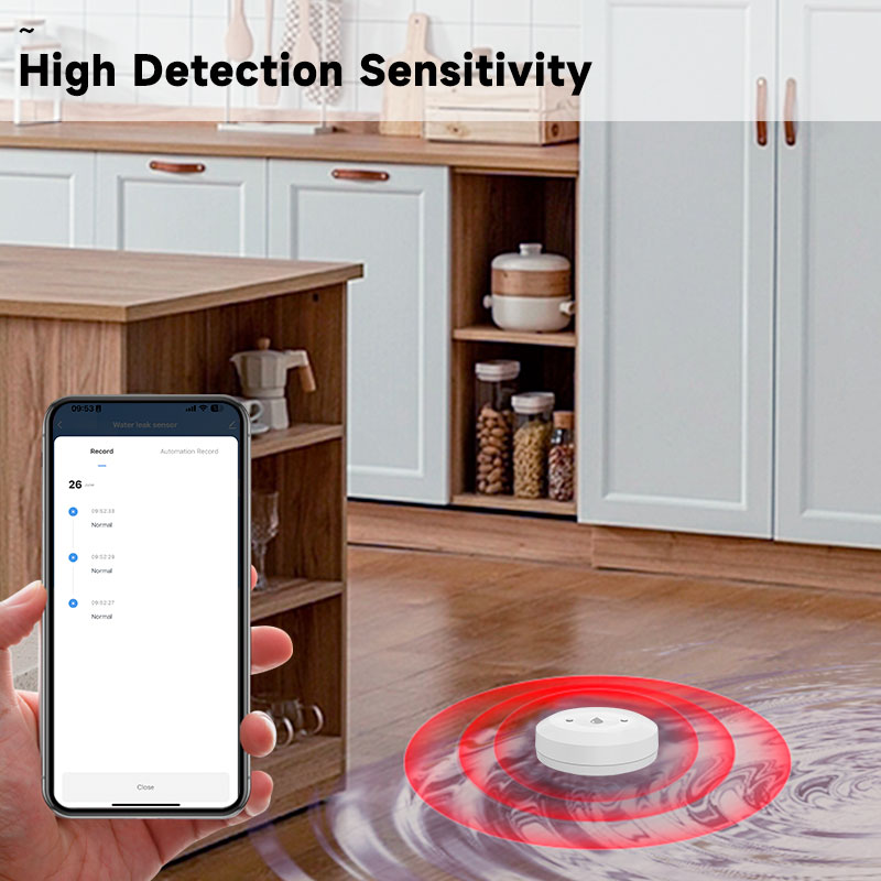 Tuya Zigbee2mqtt capteur d'imm - Water Alarm Sensor avis et prix