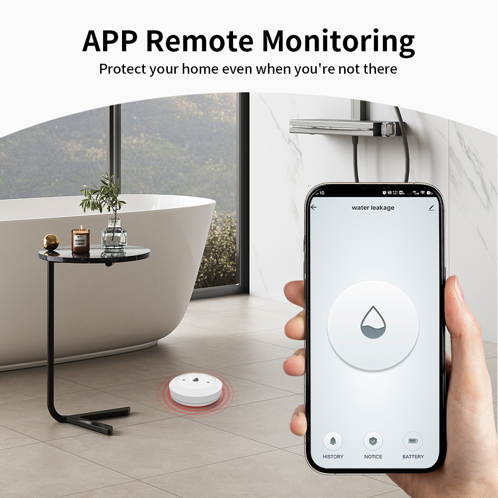 Détecteur de fuite d'eau intel - Water Alarm Sensor avis et prix