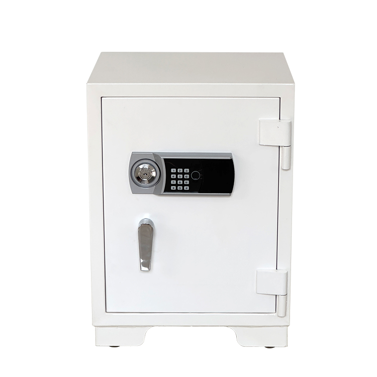 Banque maison bureau dépôt séc - Fire Safe Document avis et prix