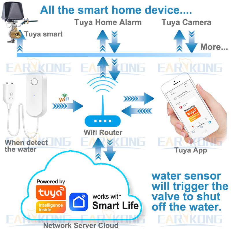 Tuya – capteur de fuite d'eau  - Water Alarm Sensor avis et prix